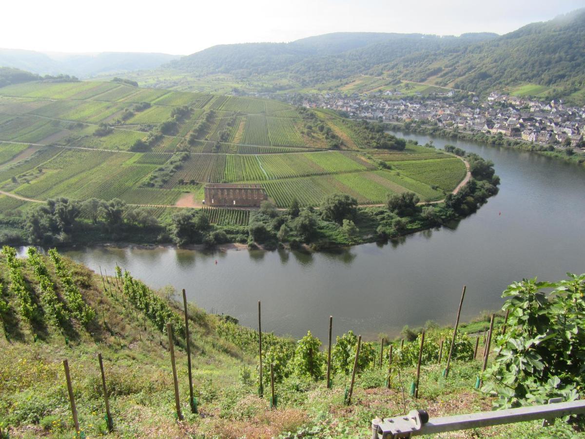 Ferienhaus Leopold Mit Burgblick An Der Mosel Бурген Экстерьер фото