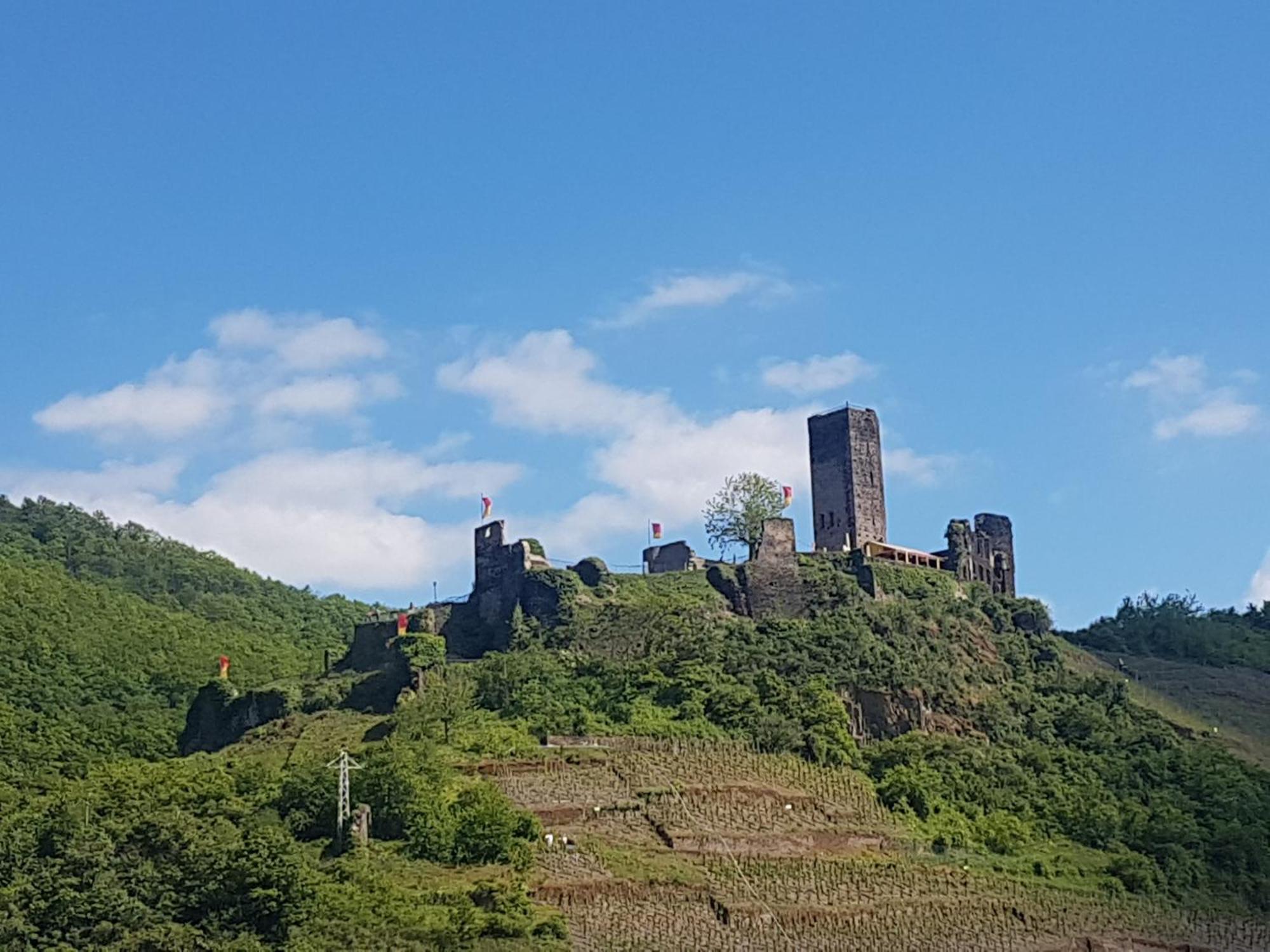 Ferienhaus Leopold Mit Burgblick An Der Mosel Бурген Экстерьер фото